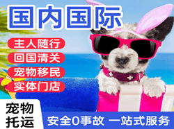惠州机场快运国际宠物托运 【国